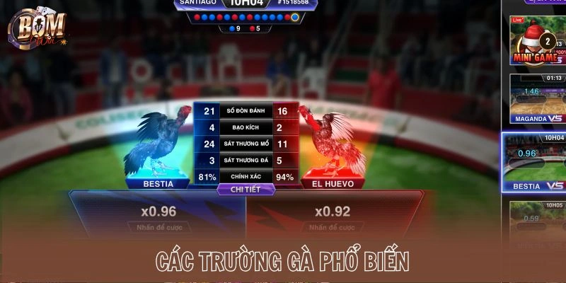 Các trường gà phổ biến