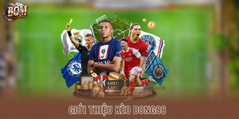 Giới thiệu kèo Bong88