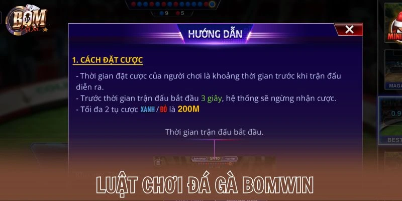Luật chơi đá gà Bomwin